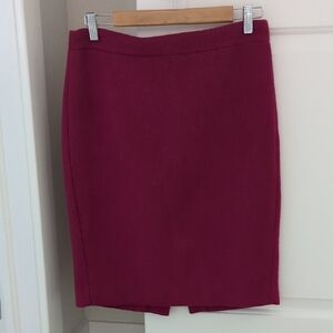 Elegant Pink Skirt